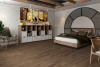 SPC ламинат Damy Floor Family Орех Американский 0036-3