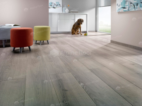 Ламинат Homflor Strong Durban 437