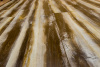 Ламинат Bohofloor Design Collection Contemporary DC 1210
