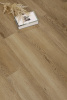 SPC ламинат Icon Floor Mint Дуб Уайт MT-55