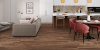 SPC ламинат Damy Floor Family Орех Американский 0036-3