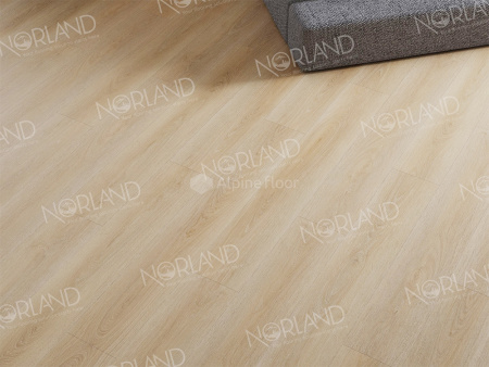SPC ламинат Norland Sigrid Plus Eli 1006-09
