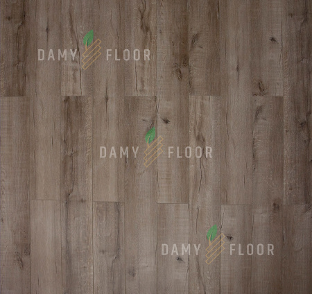 SPC ламинат Damy Floor Family Дуб Изысканный JC8271-7