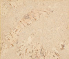 Стеновая панель Corkart Cork Guard 323c NW PW3 323c NW-3.0