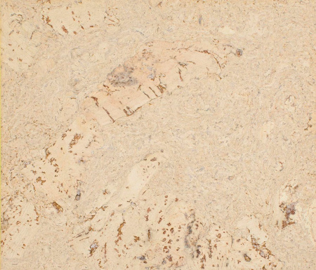 Стеновая панель Corkart Cork Guard 323c NW PW3 323c NW-3.0