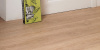 SPC ламинат Respect Floor Wood Дуб Золотистый 4202