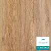 SPC ламинат Aspenfloor Tibet Сансара TI9-03