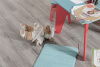 SPC ламинат Vinilam Ceramo Cork 8мм Дуб Давос 8880-EIR