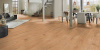 Ламинат Kronospan Forte Classic Дуб Шервуд 5985