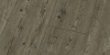 Ламинат Falquon Blue Line Wood 8 Prignitz Pinie D3546