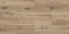 SPC ламинат Dw Flooring HY P-102 HY-P-102