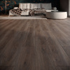 ПВХ плитка, кварц виниловый ламинат Art East Tile Premium Ясень Аскольд ATP 116-2