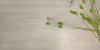 SPC ламинат Aspenfloor Smart Choice Дуб Фостер SC1-02