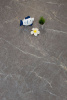 SPC ламинат Icon Floor Marble XL Мрамор Бэйкон/Marble Bacon MLX79