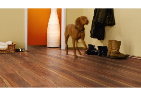 Ламинат Falquon Blue Line Wood 8 Canyon Plum D2919
