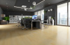 SPC ламинат Fargo Comfort Дуб Сидней 64W970