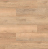 SPC ламинат Salag Wood Mastery YV2041
