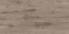 SPC ламинат FloorBee Project Дуб Вельвет 1510